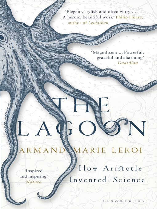 Cover image for The Lagoon